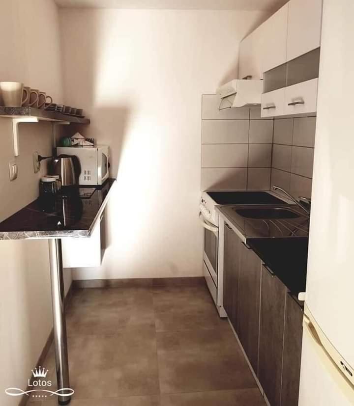 Apartament Lotos Zator Esterno foto